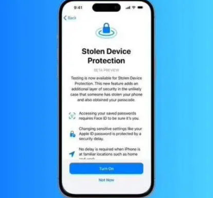 兰洋镇苹果授权维修店分享被盗设备保护功能开启方法 