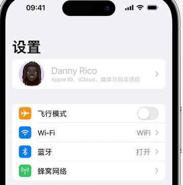 兰洋镇appleID维修服务iPhone设置中Apple ID显示为灰色无法使用 