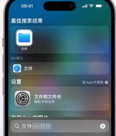 兰洋镇apple维修中心分享iPhone文件应用中存储和找到下载文件