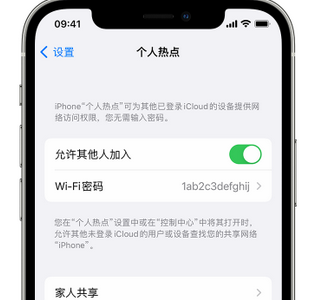 兰洋镇apple服务站点分享iPhone上个人热点丢失了怎么办