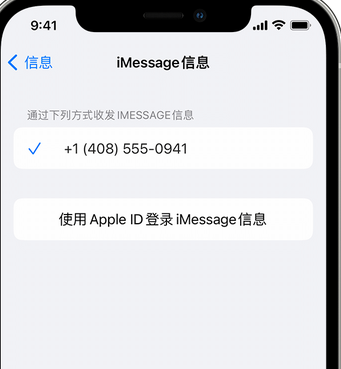 兰洋镇apple维修iPhone上无法正常发送iMessage信息 