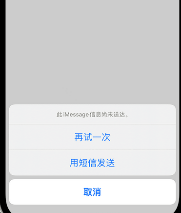 兰洋镇apple维修iPhone上无法正常发送iMessage信息