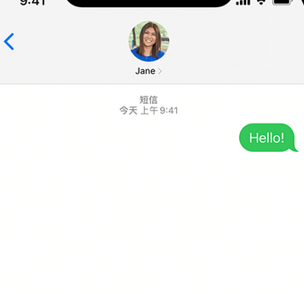 兰洋镇apple维修iPhone上无法正常发送iMessage信息