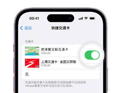 兰洋镇apple维修点分享iPhone上更换Apple Pay快捷交通卡手绘卡面 