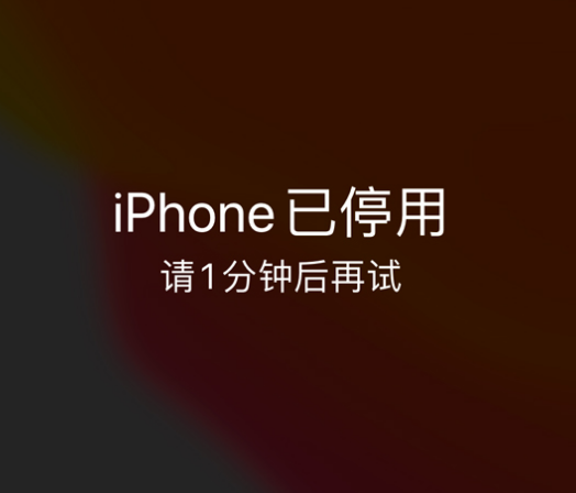 兰洋镇苹果手机维修分享:iPhone 显示“不可用”或“已停用”怎么办？还能保留数据吗？ 