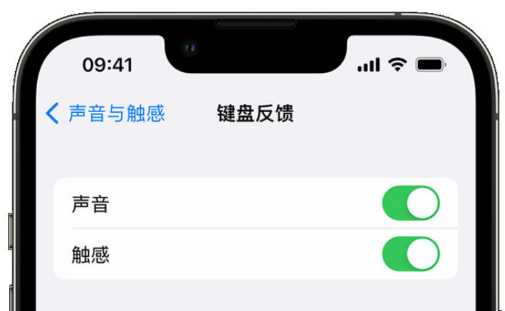 兰洋镇苹果手机维修分享iPhone 14触感键盘使用方法 