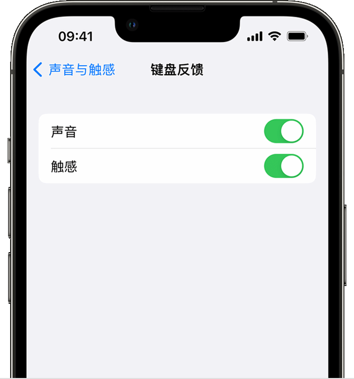 兰洋镇苹果14维修店分享如何在 iPhone 14 机型中使用触感键盘 