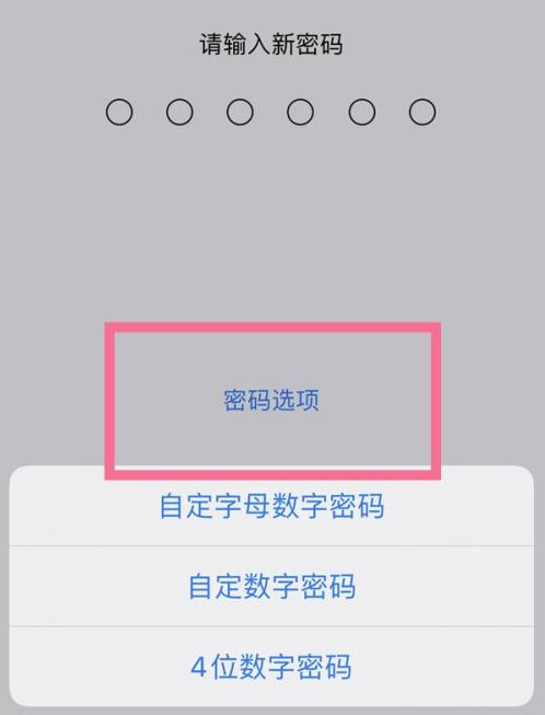 兰洋镇苹果14维修分享iPhone 14plus设置密码的方法 