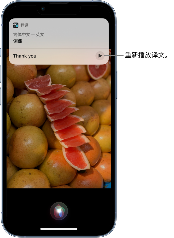 兰洋镇苹果14维修分享 iPhone 14 机型中使用 Siri：了解 Siri 能帮你做什么 