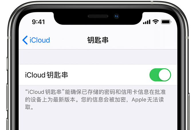 兰洋镇苹果手机维修分享在 iPhone 上开启 iCloud 钥匙串之后会储存哪些信息 