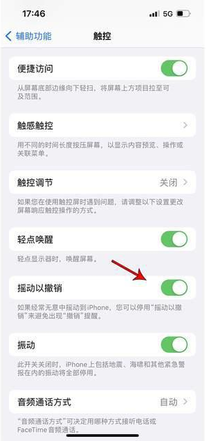 兰洋镇苹果手机维修分享iPhone手机如何设置摇一摇删除文字 