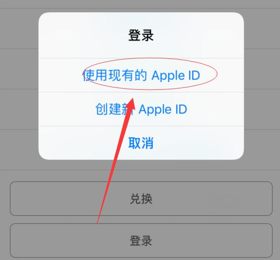 兰洋镇苹果手机维修分享两台iPhone设备可以同时登录一个Apple ID吗 