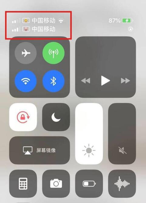 兰洋镇苹果手机维修分享为 iPhone 12 双卡设置标签 